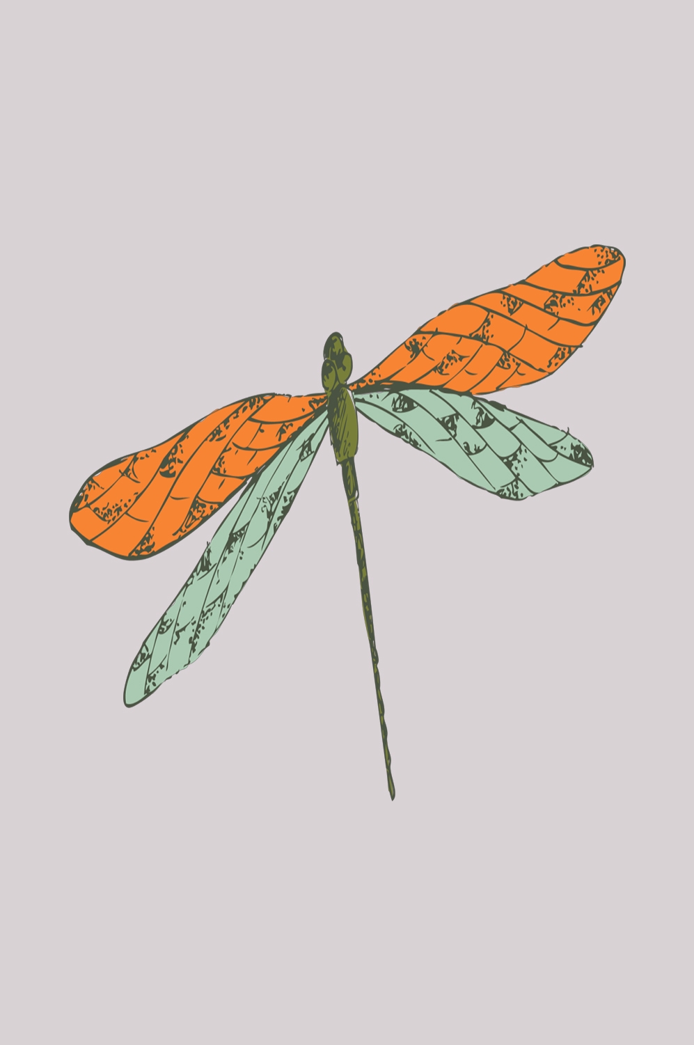 卡通手绘蜻蜓昆虫水墨画插画七彩蜻蜓图案免抠31