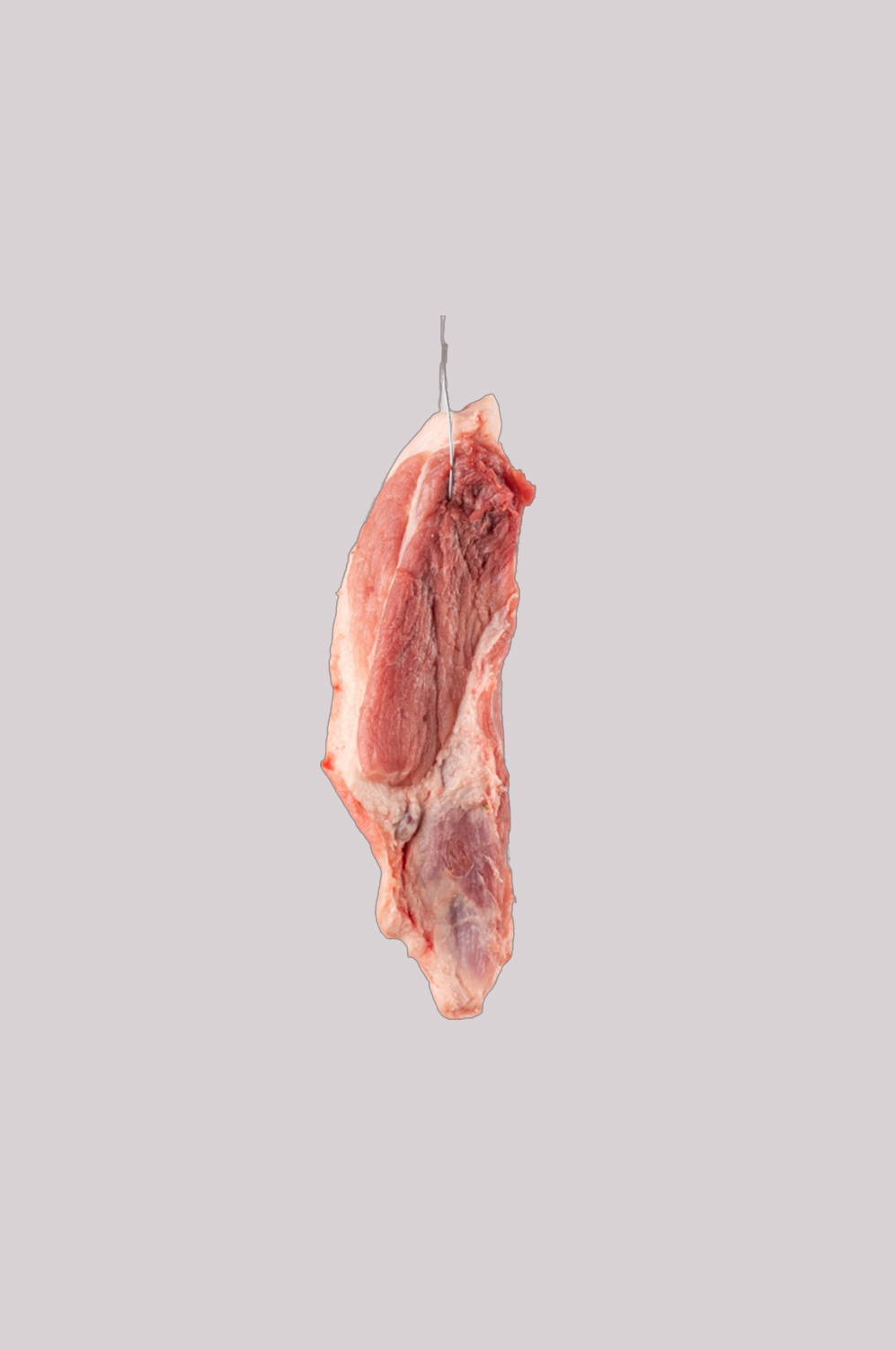 猪肉五花肉瘦肉排骨插画元素免抠素材5