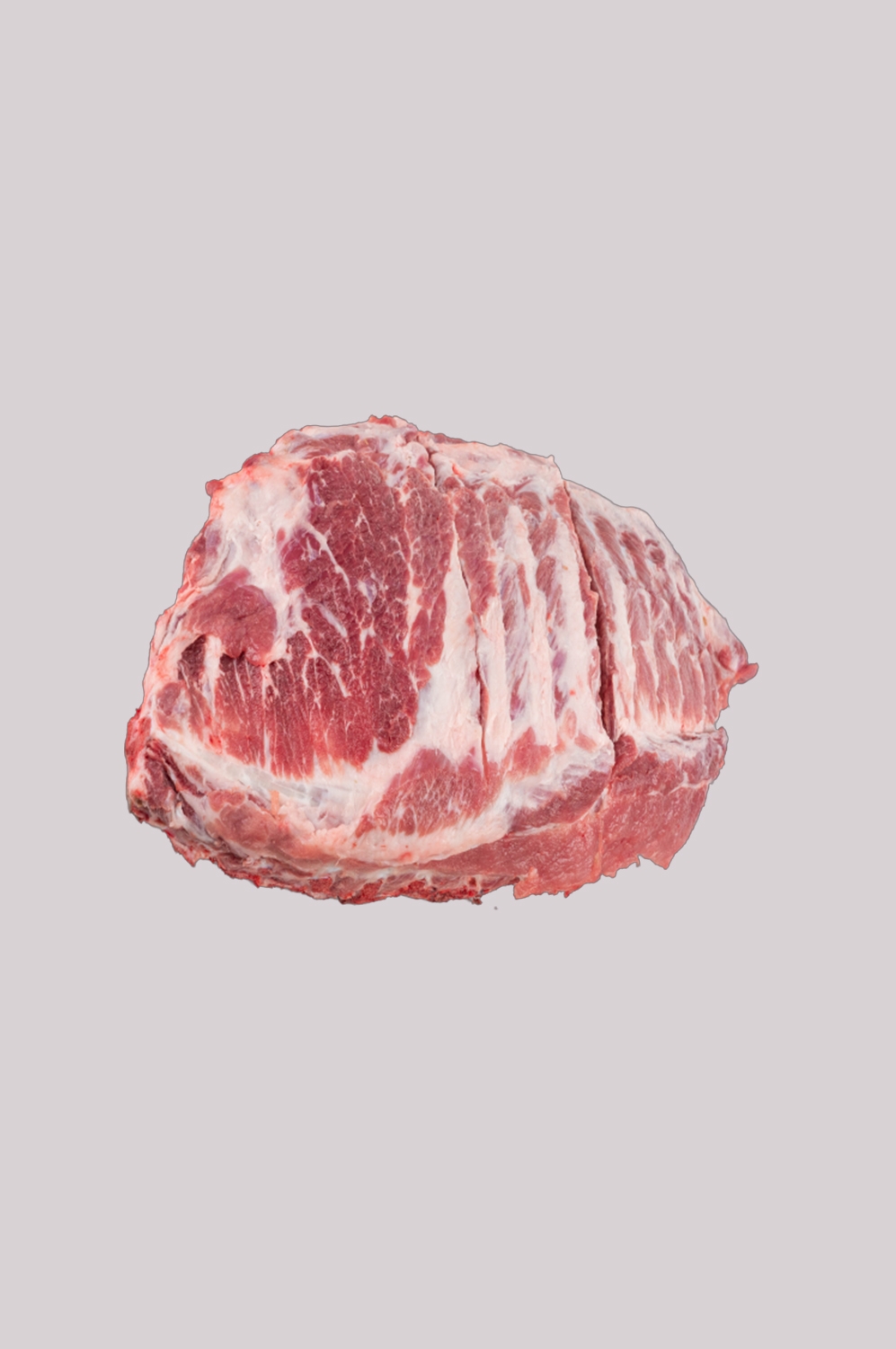猪肉五花肉瘦肉排骨插画元素免抠素材24