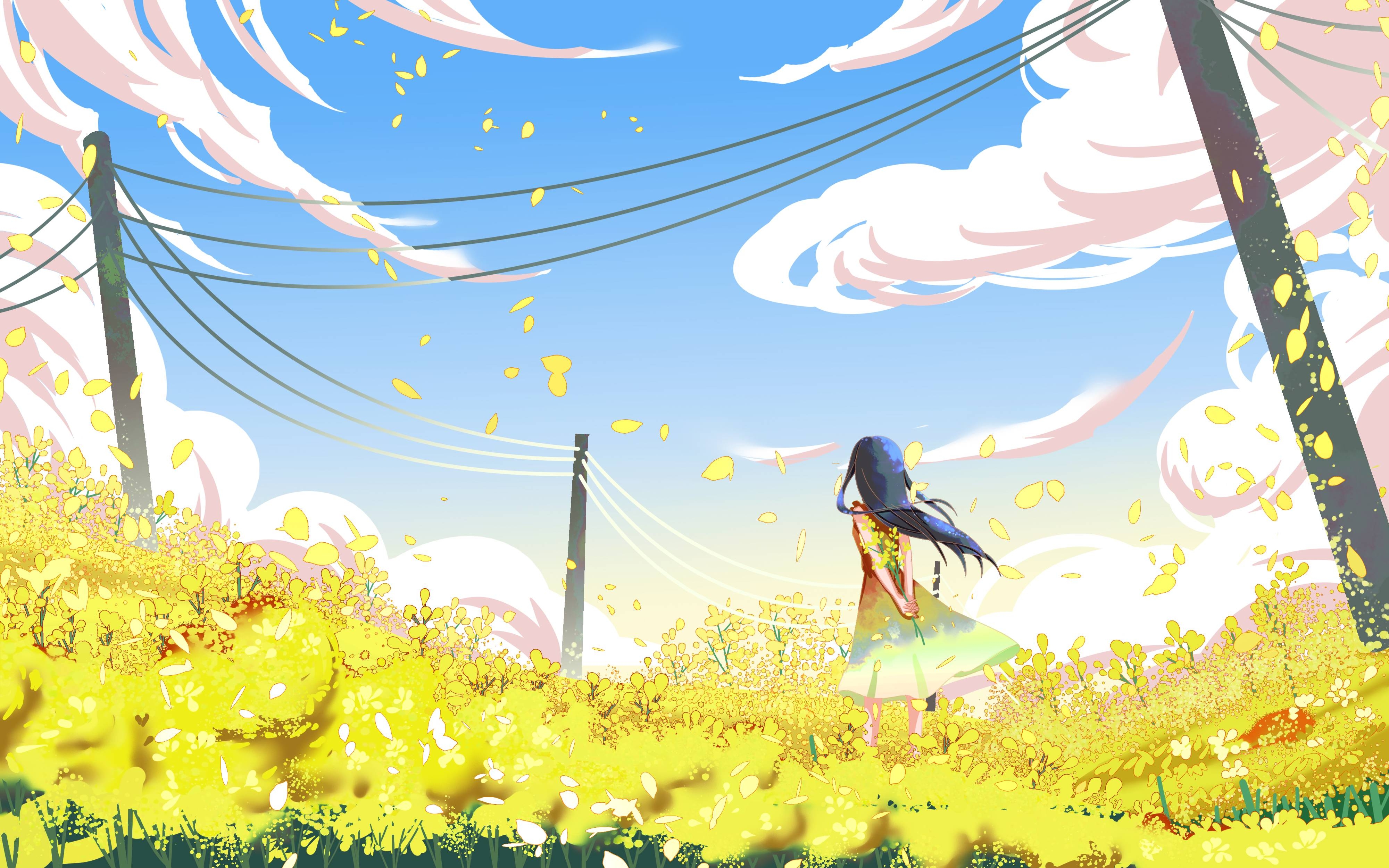 油菜花开田野风景背景插画图片banner海报29