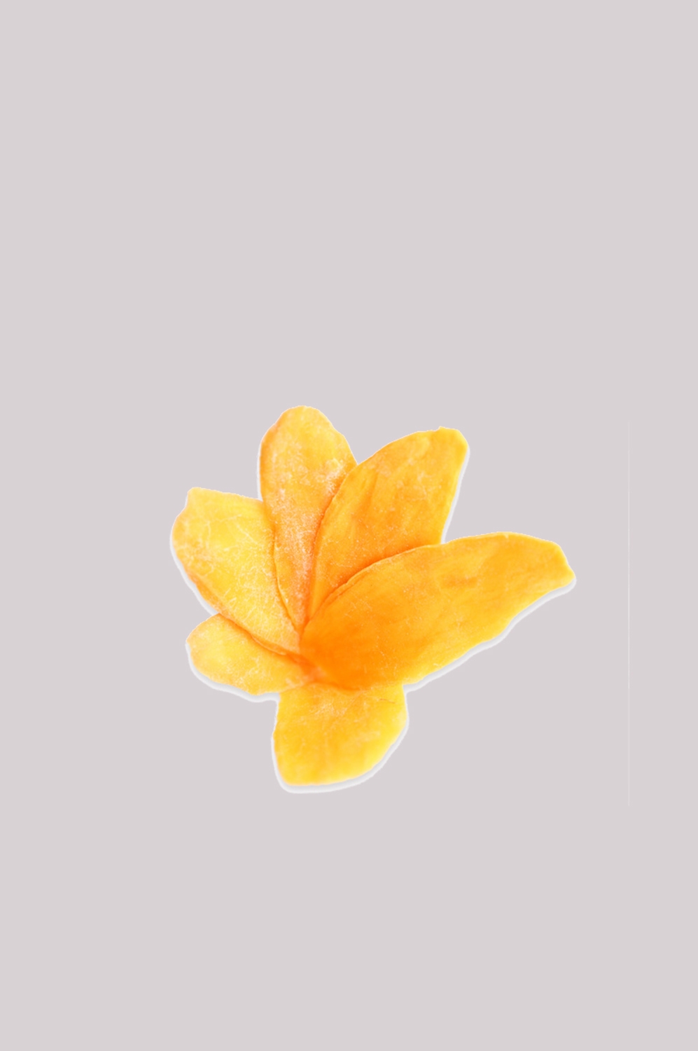 芒果干免抠元素16