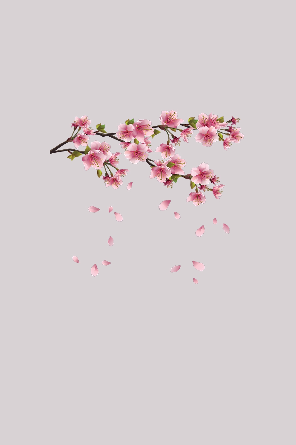 桃花素材图中国风海报设计桃树花枝透明背景65