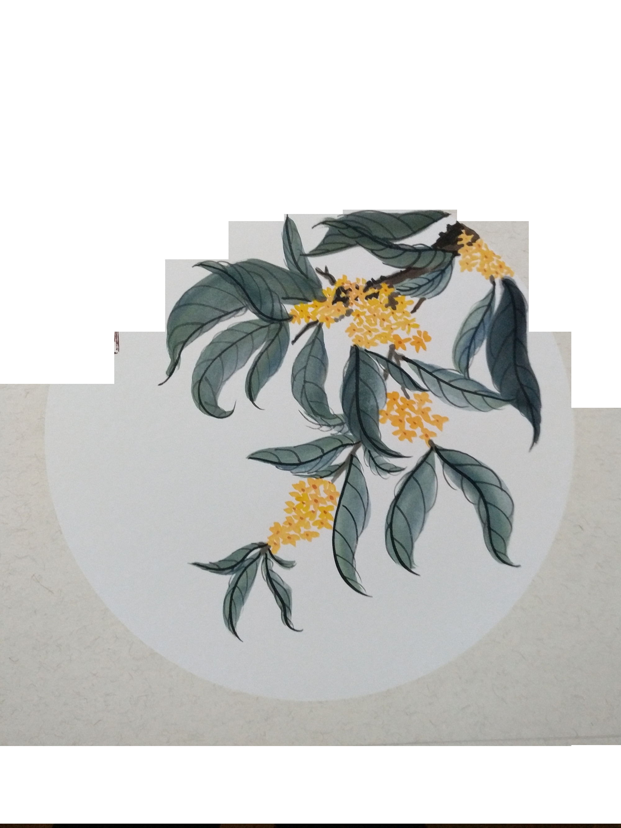 卡通手绘桂花花枝图案素材元素13