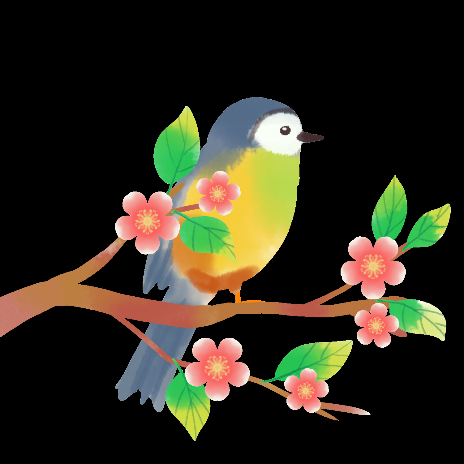 水彩手绘小鸟树枝花枝上的小鸟插画素材免抠19