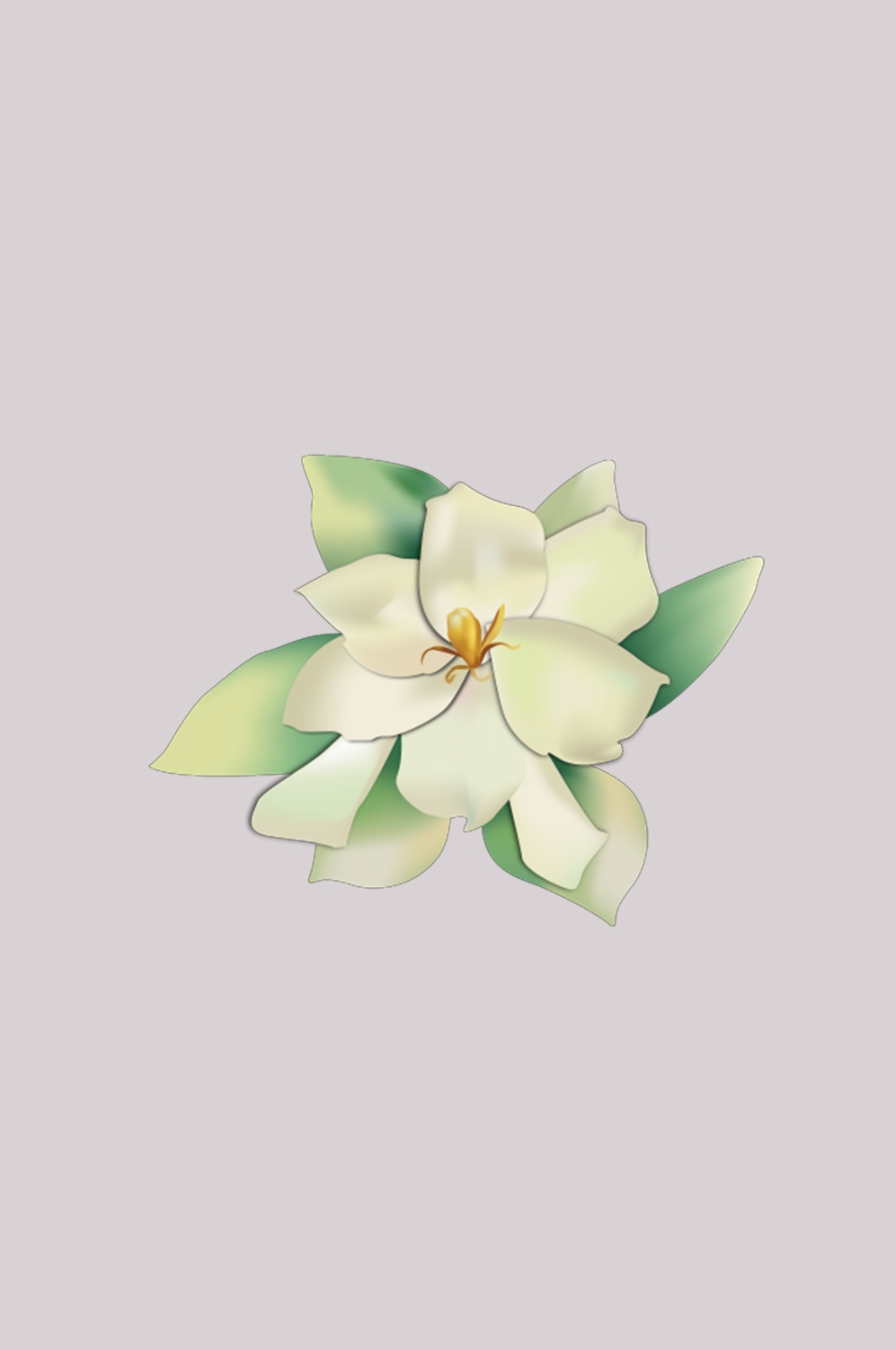 清新淡雅栀子花朵图片素材免抠元素43