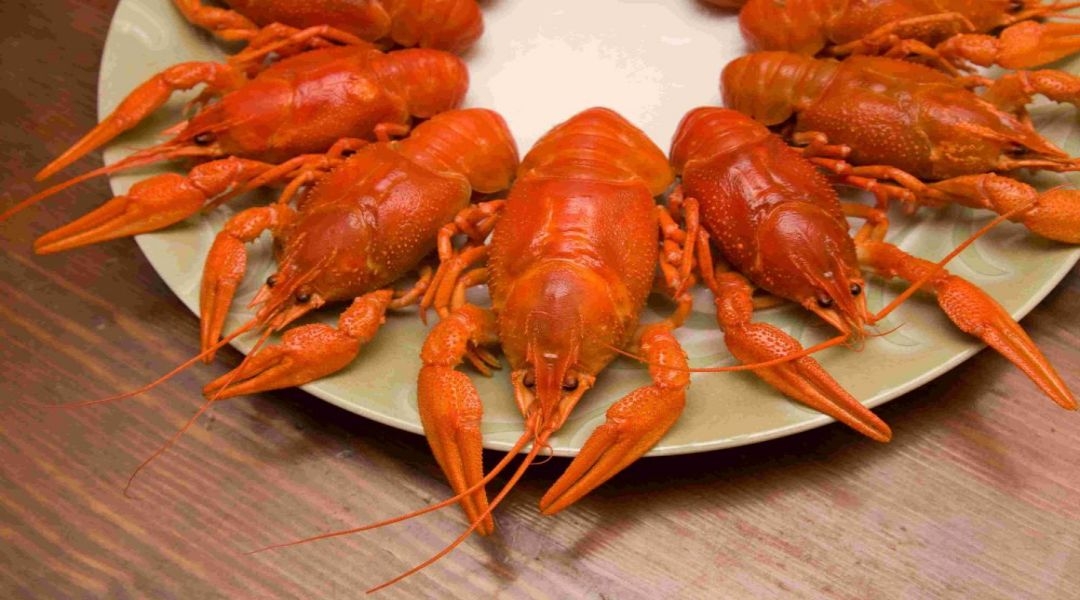餐饮美食海报模板麻辣小龙虾香辣虾促销宣传广告素材 (70)