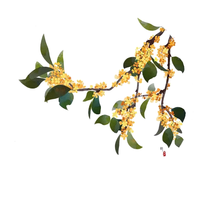 卡通手绘桂花花枝图案素材元素60