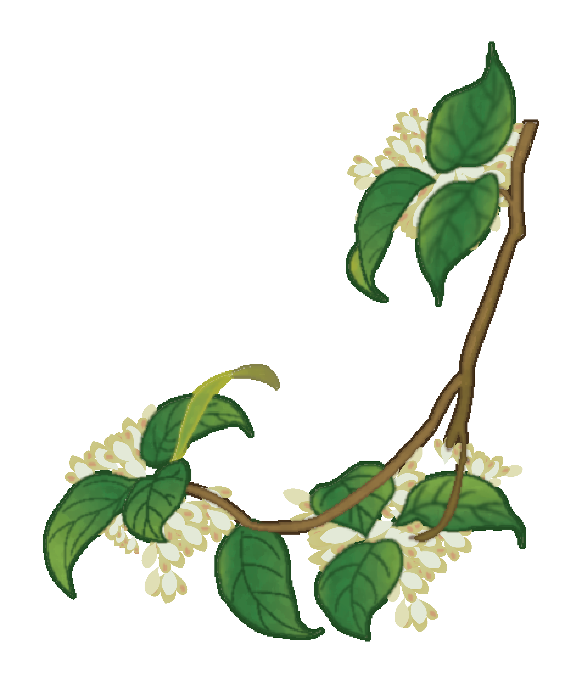 卡通手绘桂花花枝图案素材元素55