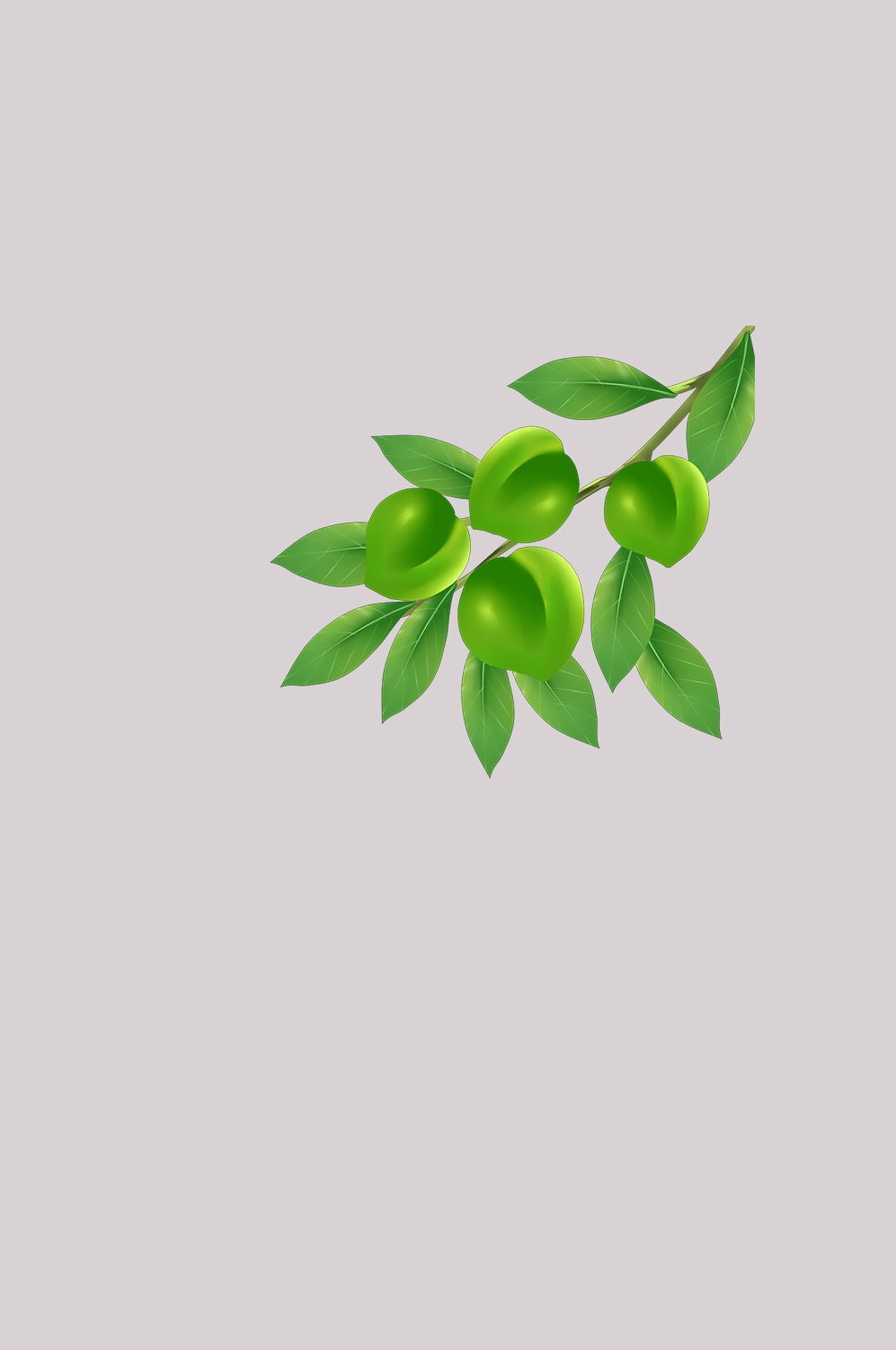 卡通手绘水果青梅图案素材图片装饰插画免抠87