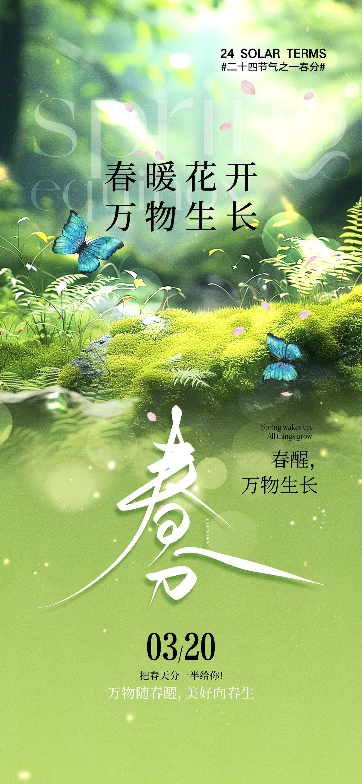 二十四24节气春分海报设计地产企业推广宣传插画 (12)
