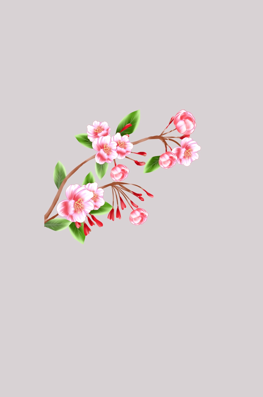 海棠花免抠元素装饰图案插画9