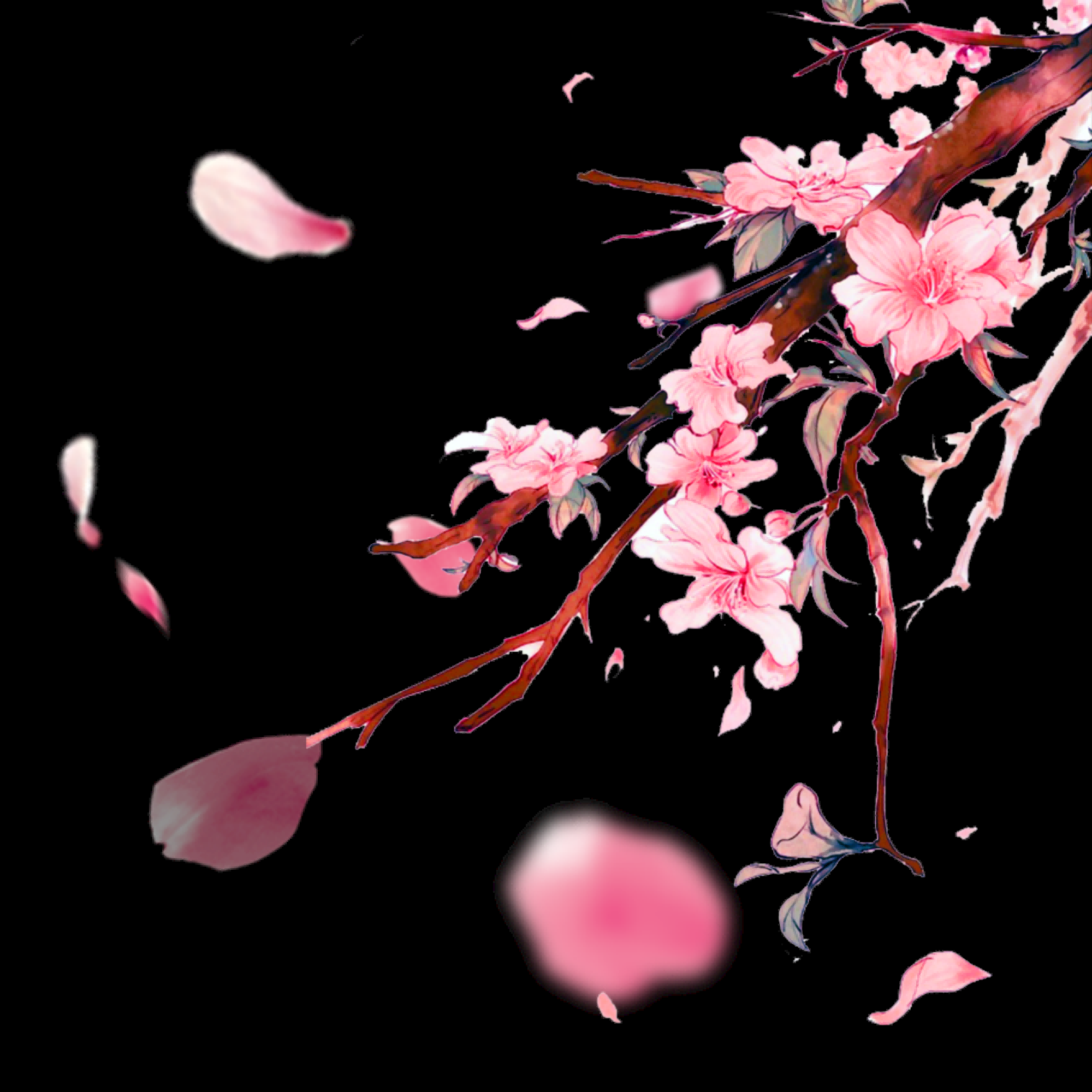 桃花素材图中国风海报设计桃树花枝透明背景3