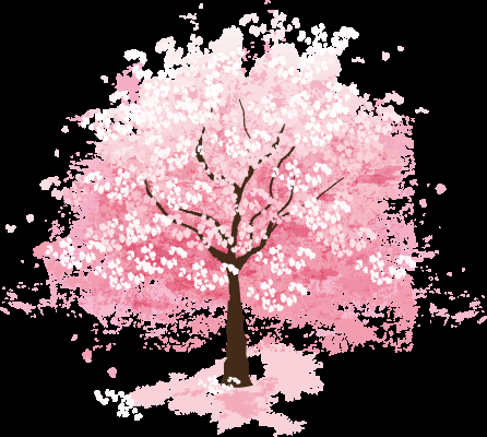 唯美樱花花树花枝樱花飘落图片装饰插图免抠23