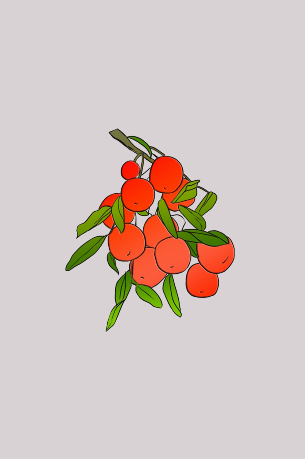 卡通手绘红枣图片素材装饰元素插画 png透明背景 (60)