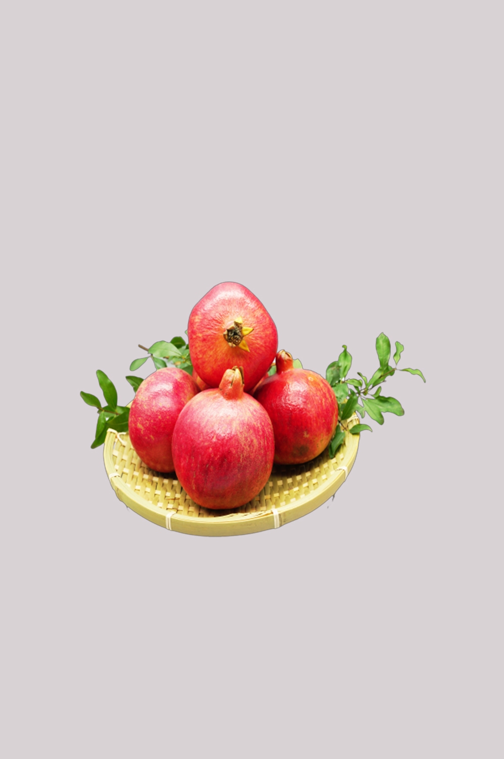 石榴图片素材海报设计装饰元素插图 png透明背景图案 (5)