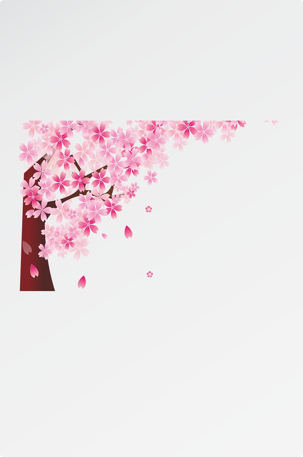 唯美樱花花树花枝樱花飘落图片装饰插图免抠27