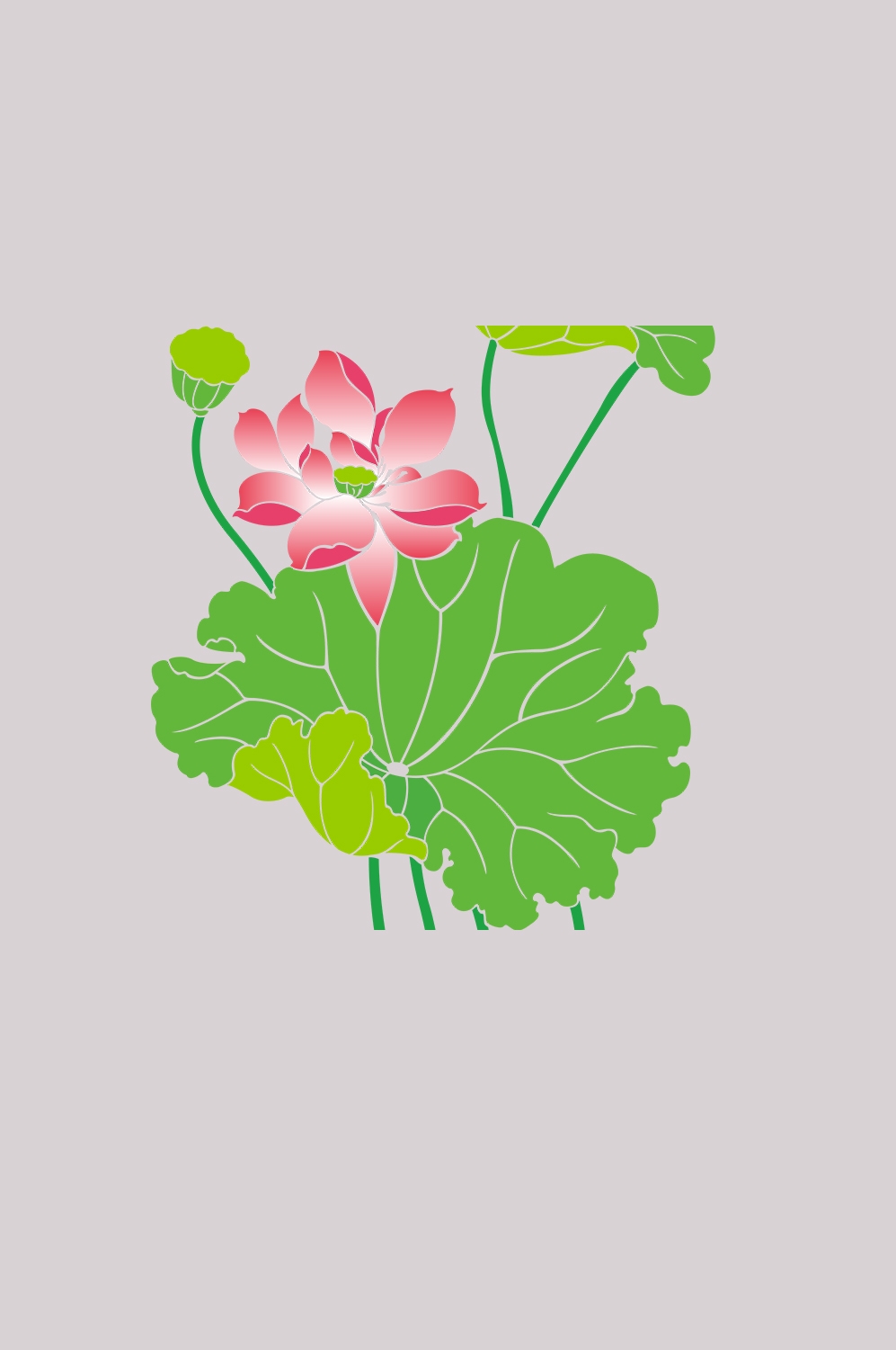 荷叶荷花素材插画装饰元素透明背景免抠素材44