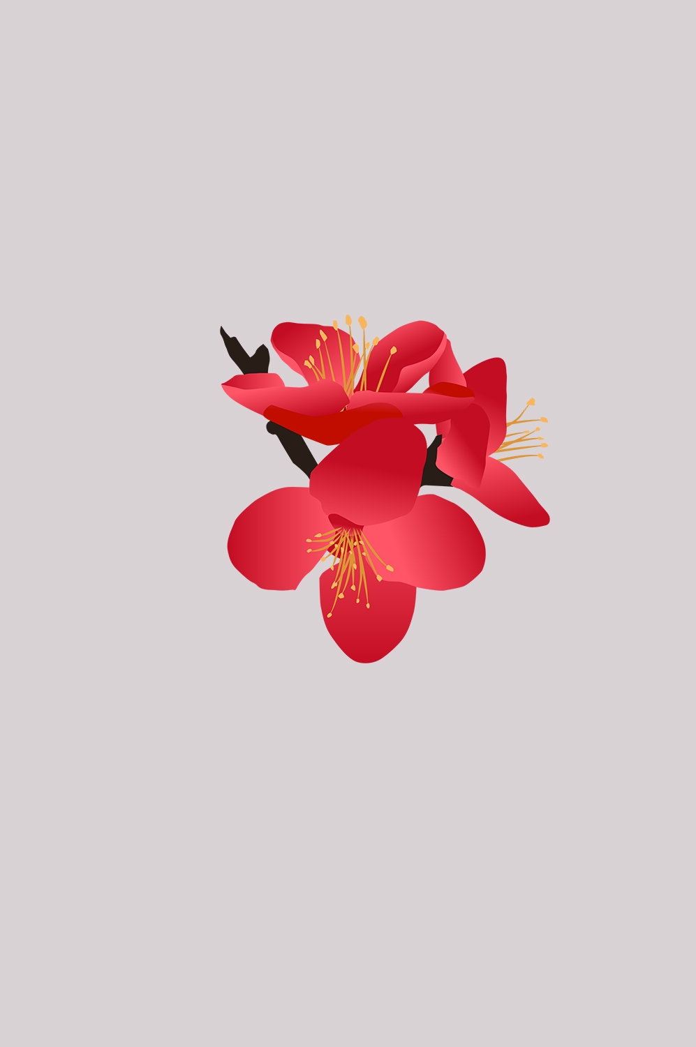 海棠花免抠元素装饰图案插画44
