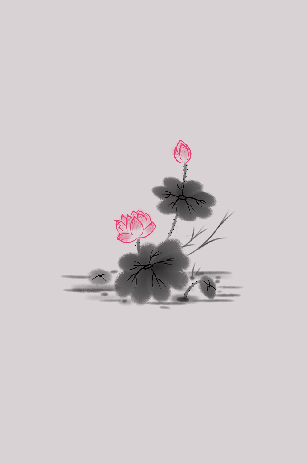 荷叶荷花素材插画装饰元素透明背景免抠素材58