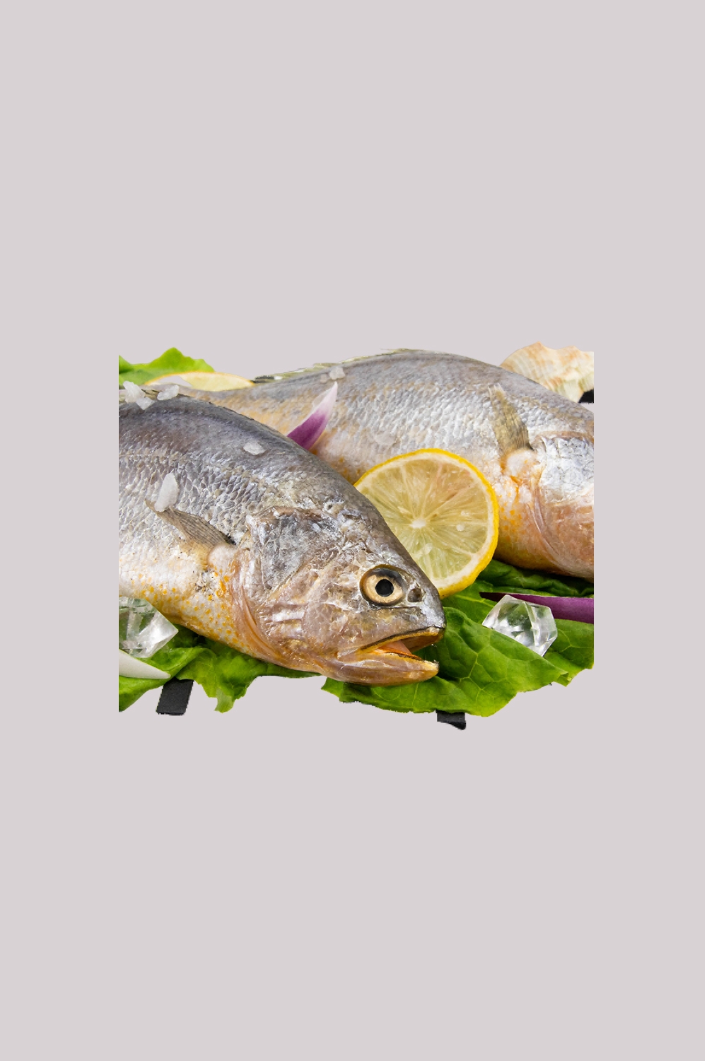 海鲜食材带鱼黄鱼素材图片元素插图免抠48
