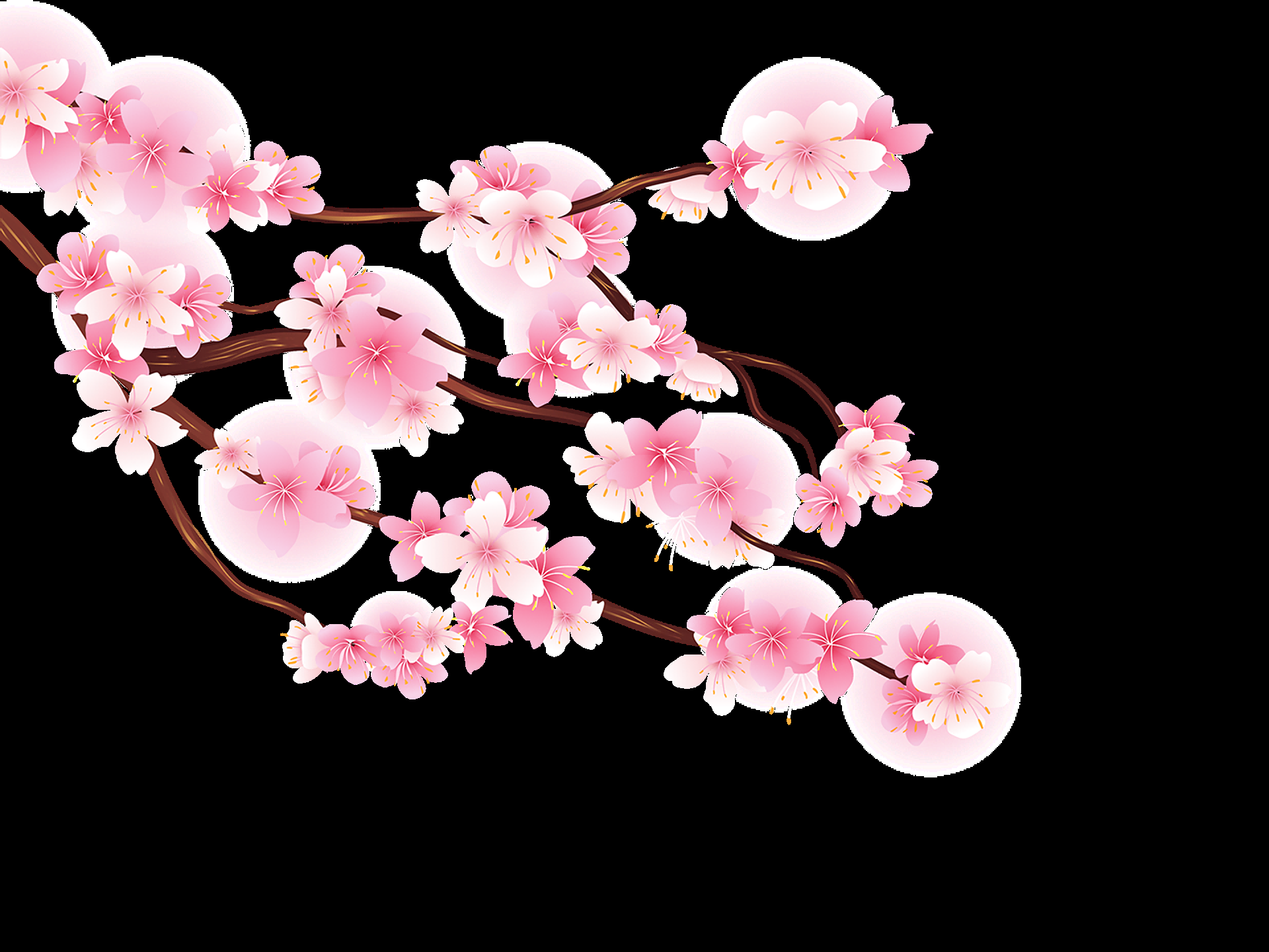 唯美樱花花树花枝樱花飘落图片装饰插图免抠50