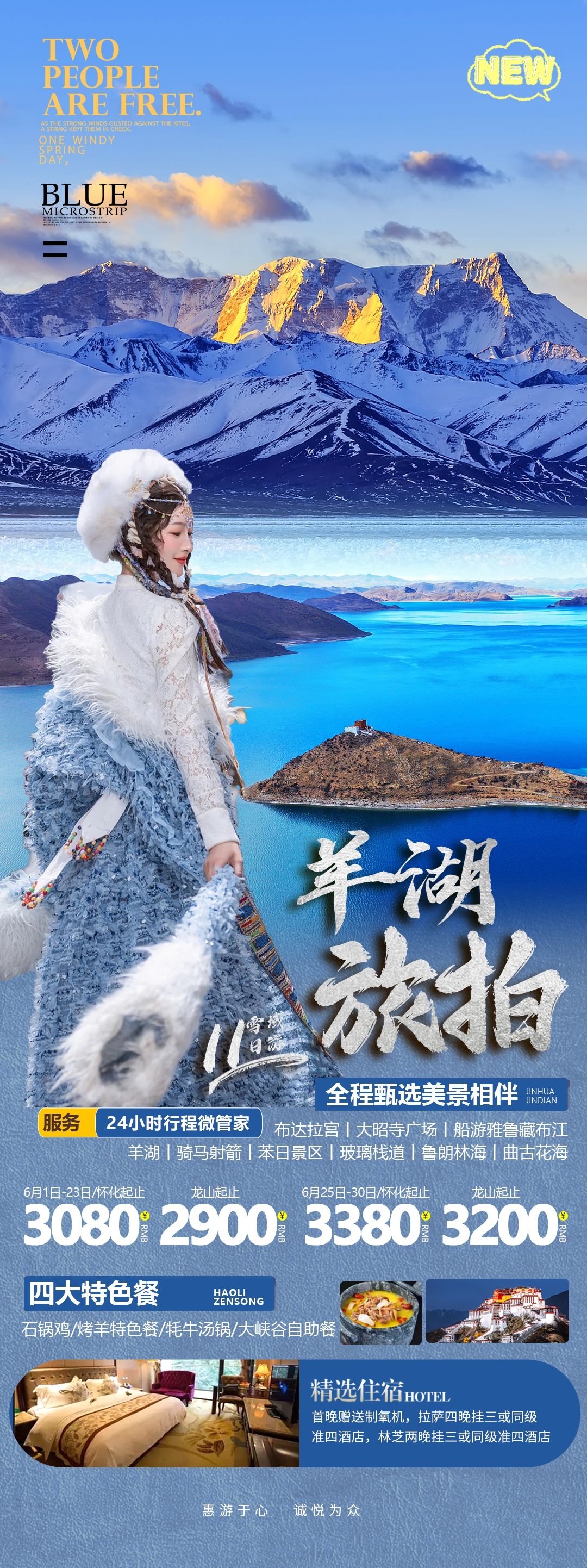 西藏拉萨布达拉宫川藏藏南灵芝日喀则海报易拉宝素材79