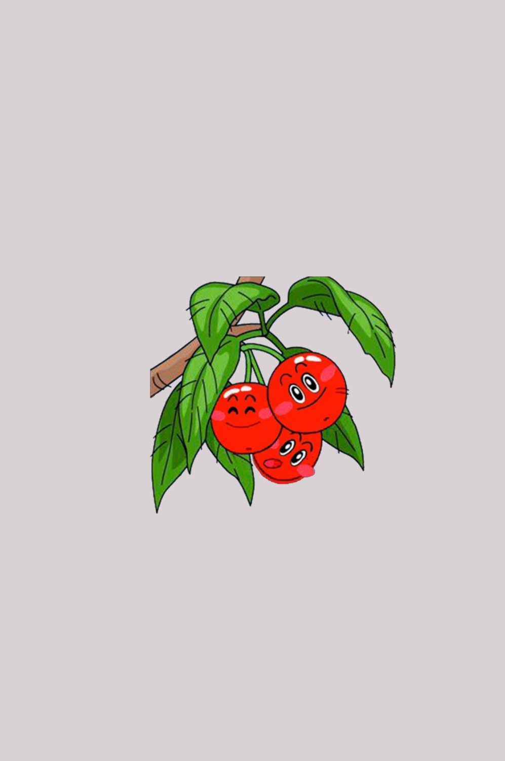 手绘山楂果图片素材装饰元素插画 免抠素材元素 (5)