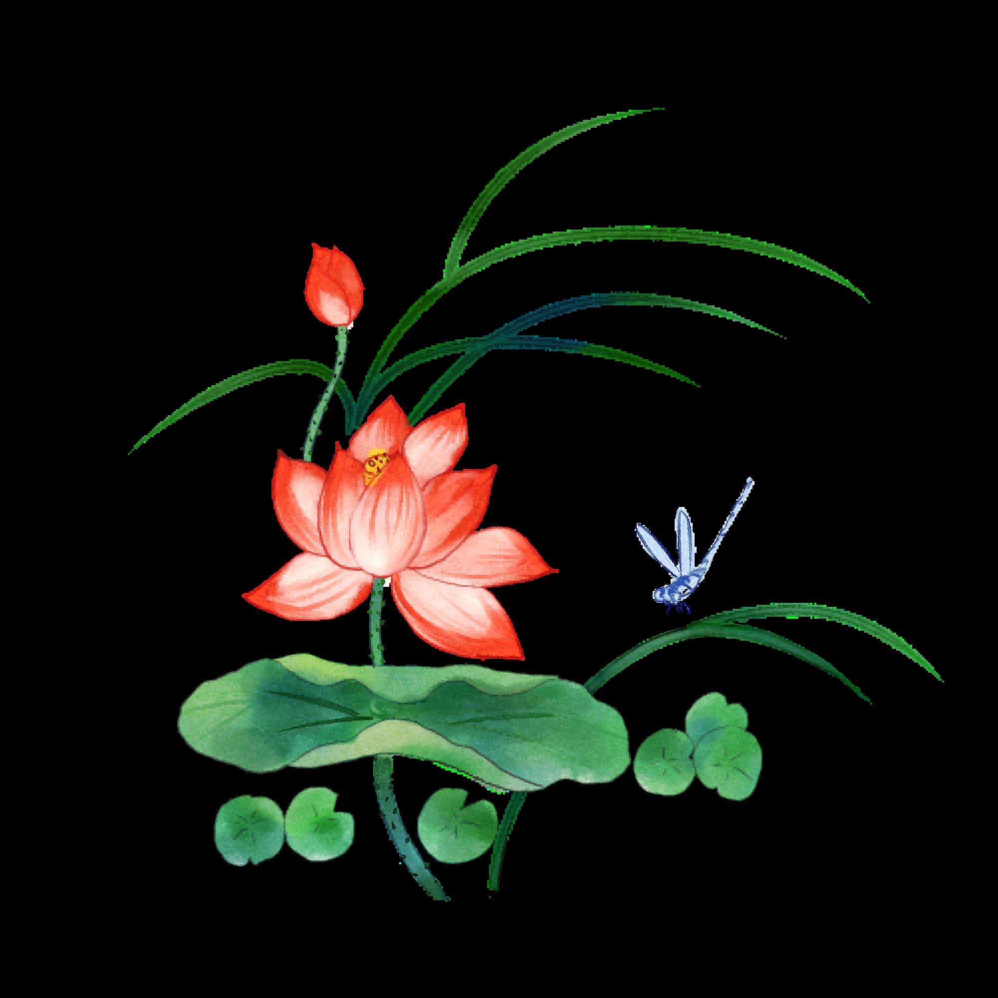 荷叶荷花素材插画装饰元素透明背景免抠素材24