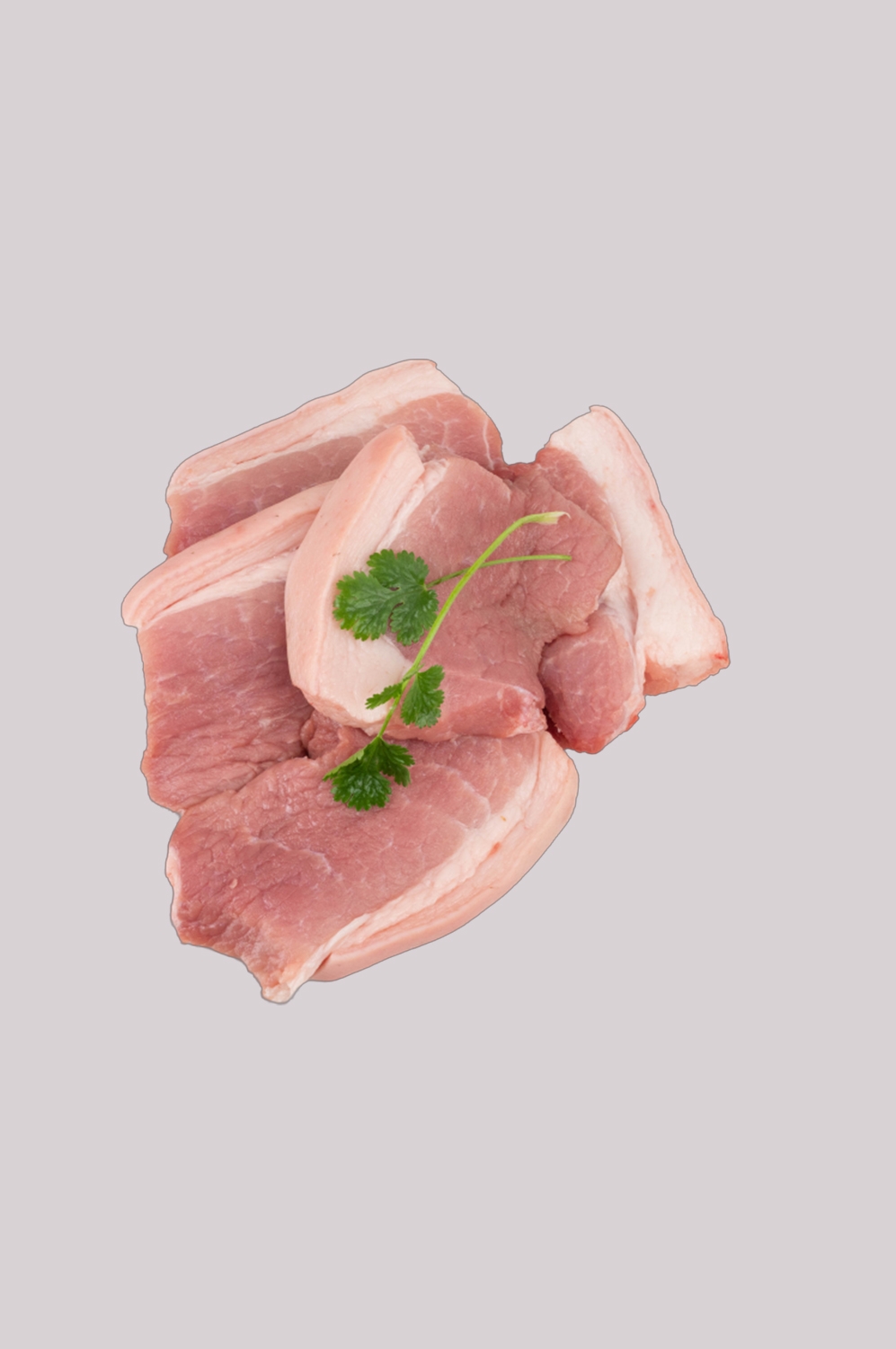 猪肉五花肉瘦肉排骨插画元素免抠素材11