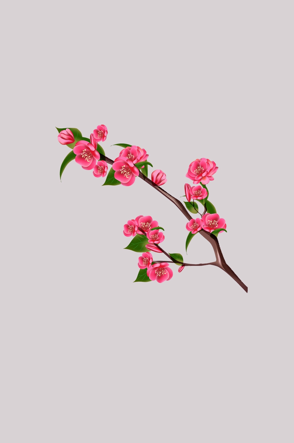 海棠花免抠元素装饰图案插画34