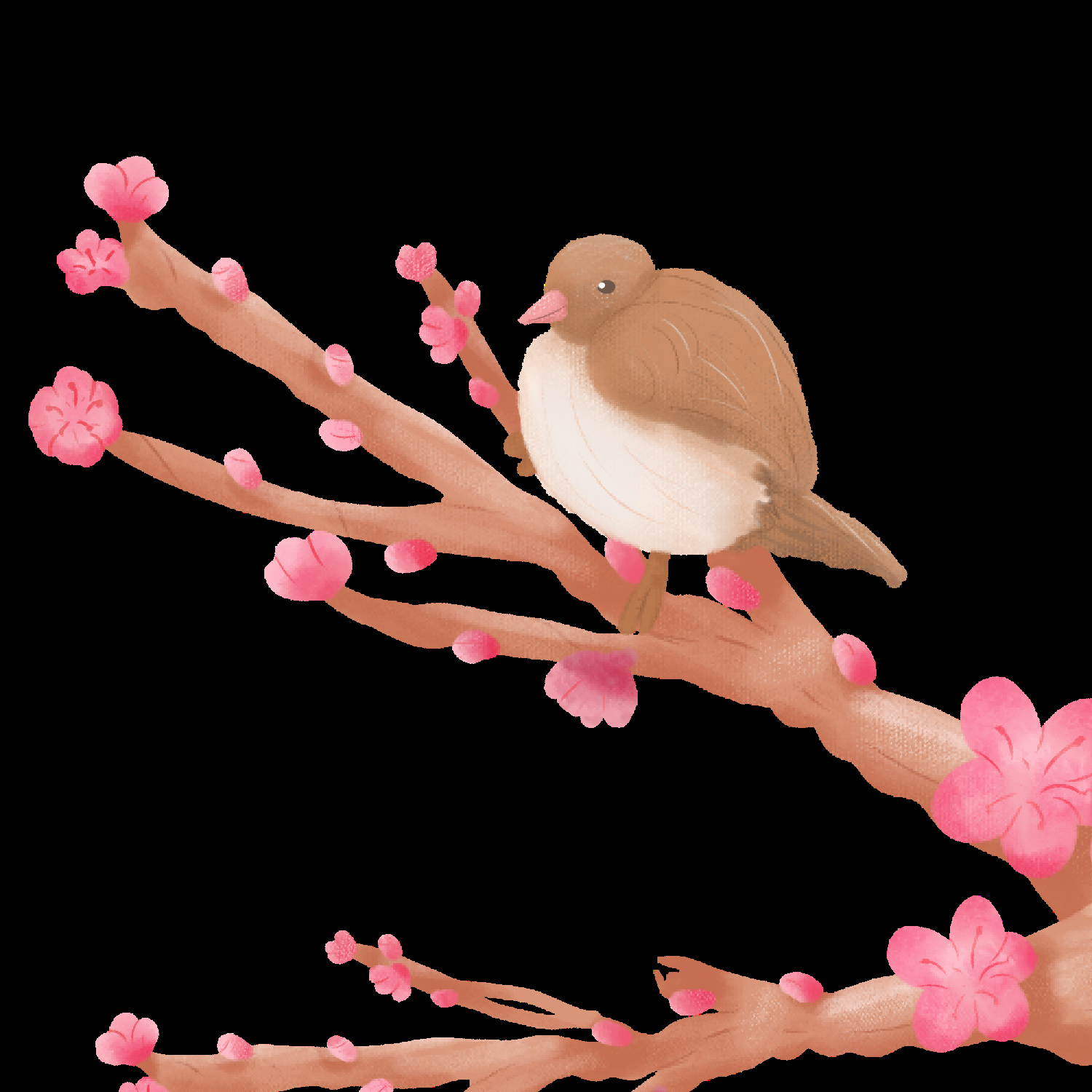 水彩手绘小鸟树枝花枝上的小鸟插画素材免抠46