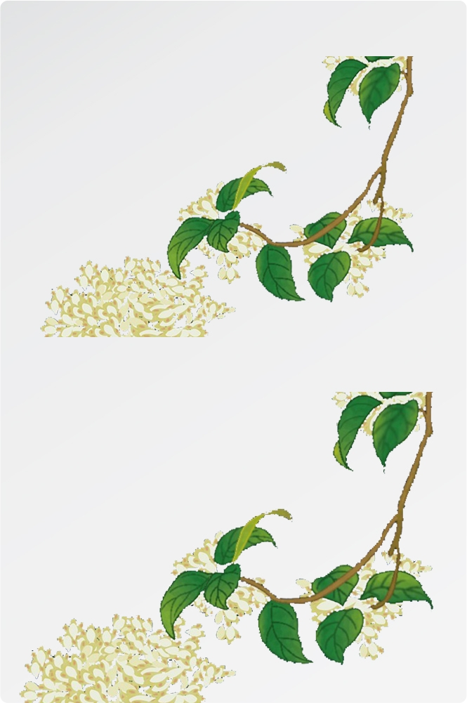 卡通手绘桂花花枝图案素材元素18