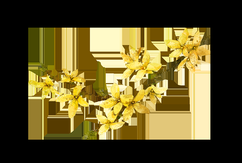 卡通手绘桂花花枝图案素材元素48