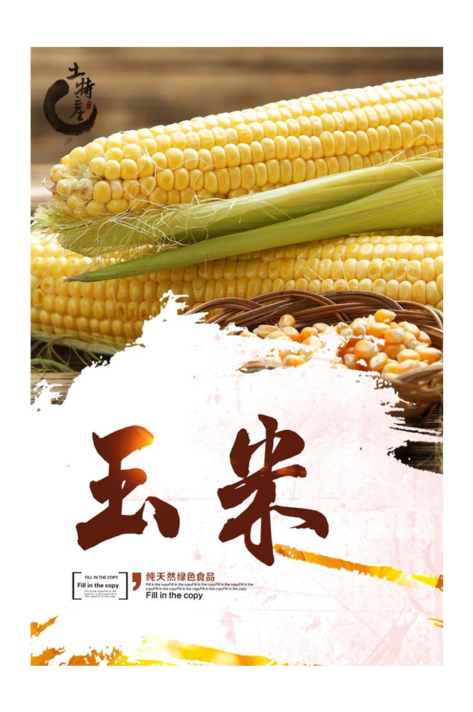 餐饮美食PSD海报背景模板优质玉米食材促销宣传单广告设计素材 (5)