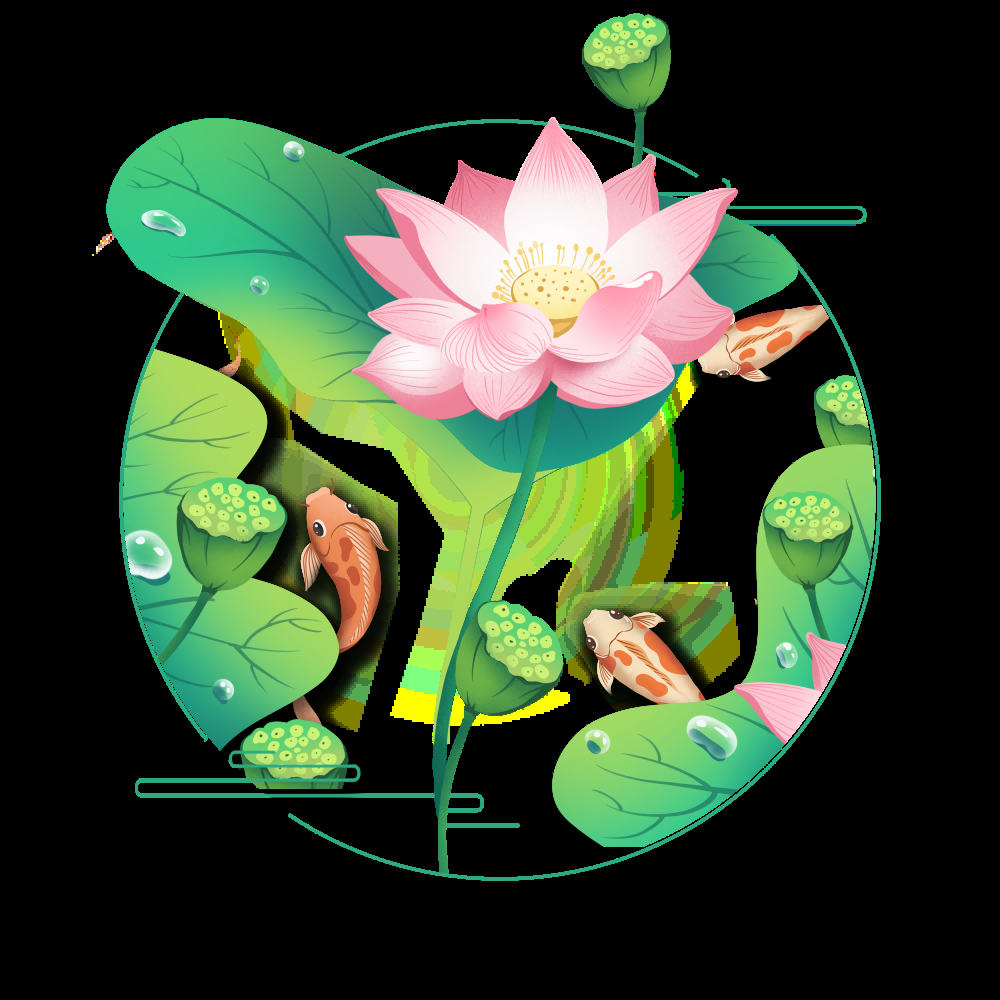 荷叶荷花素材插画装饰元素透明背景免抠素材26