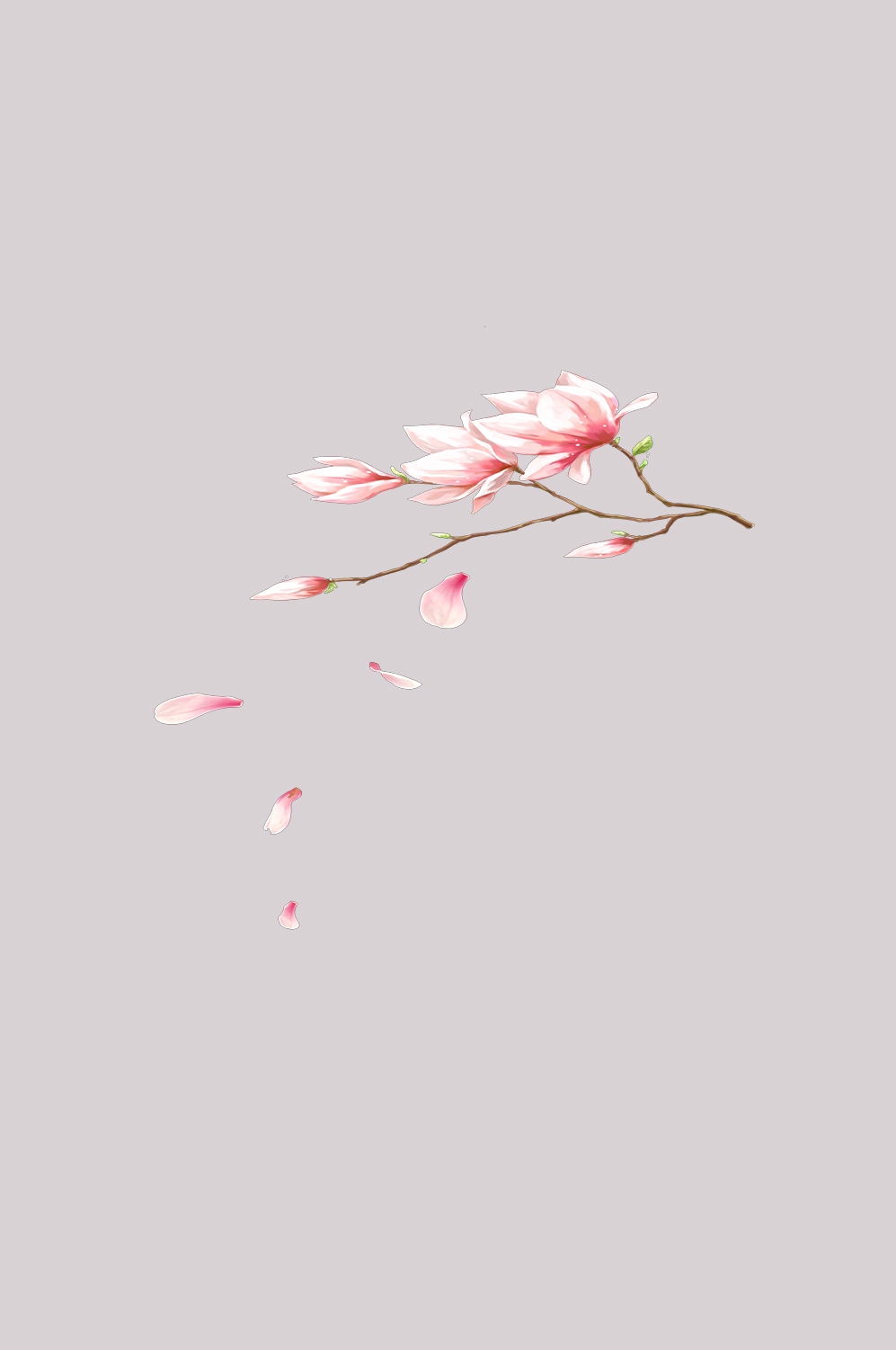 桃花素材图中国风海报设计桃树花枝透明背景76