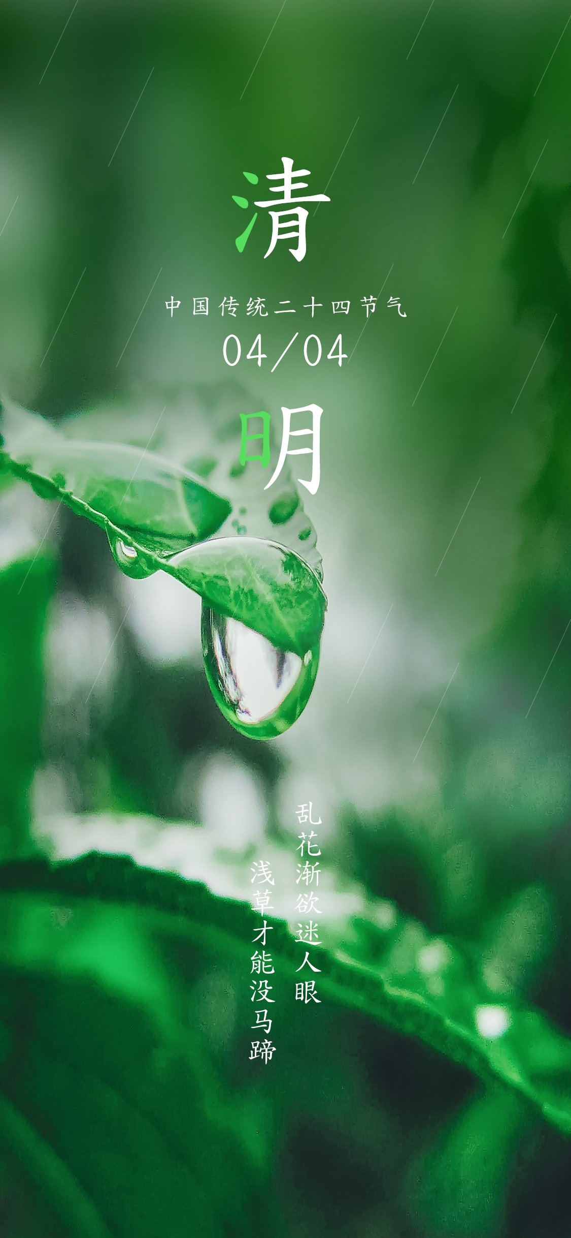 2024清明节海报易拉宝素材12