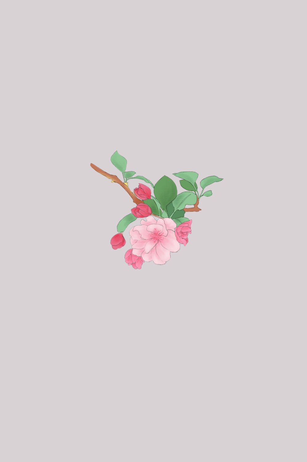 海棠花免抠元素装饰图案插画32