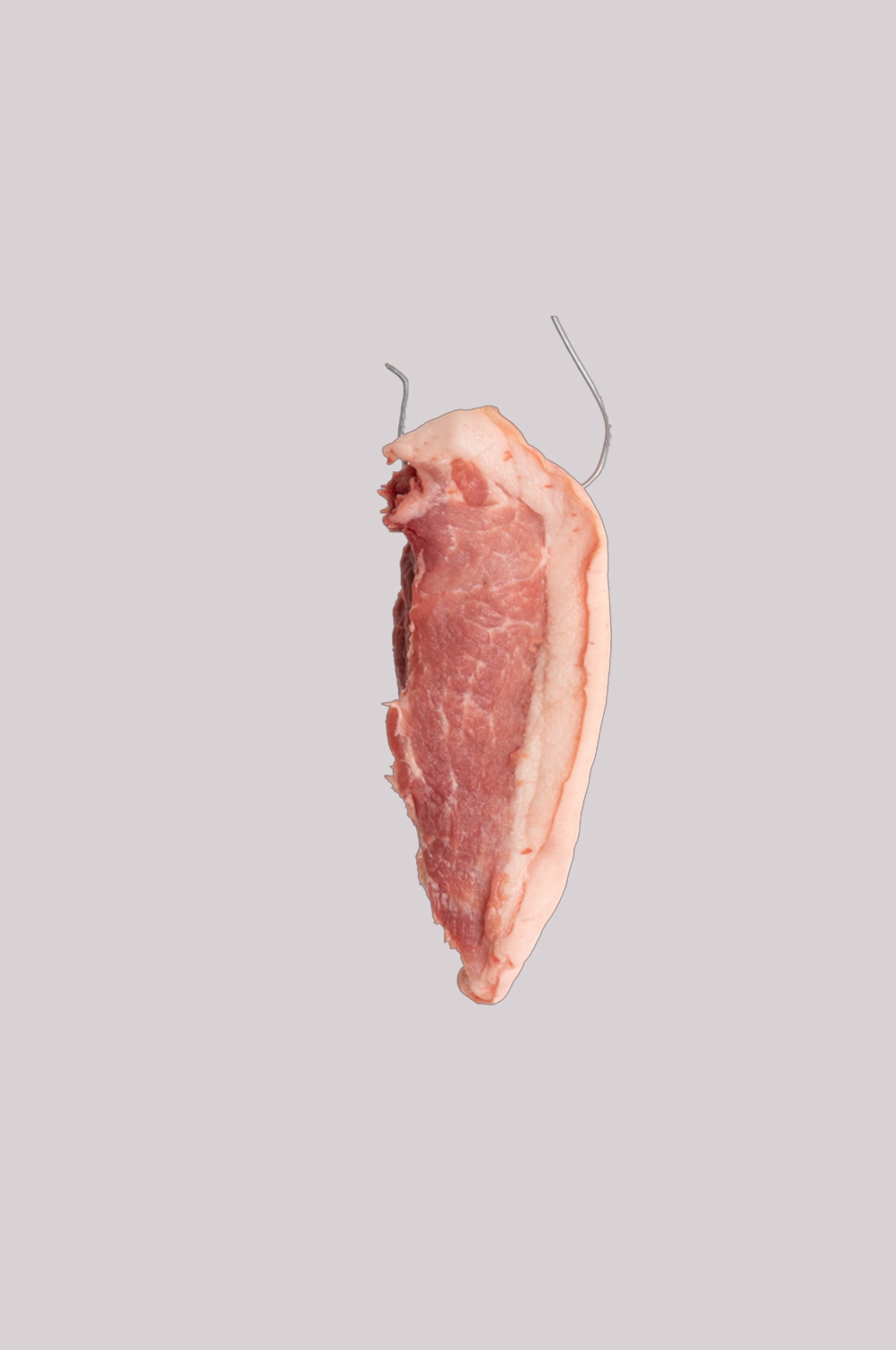 猪肉五花肉瘦肉排骨插画元素免抠素材90