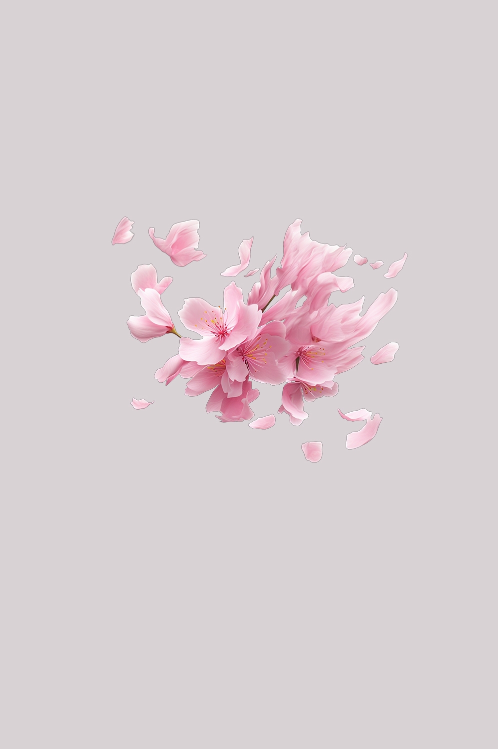 桃花素材图中国风海报设计桃树花枝透明背景5