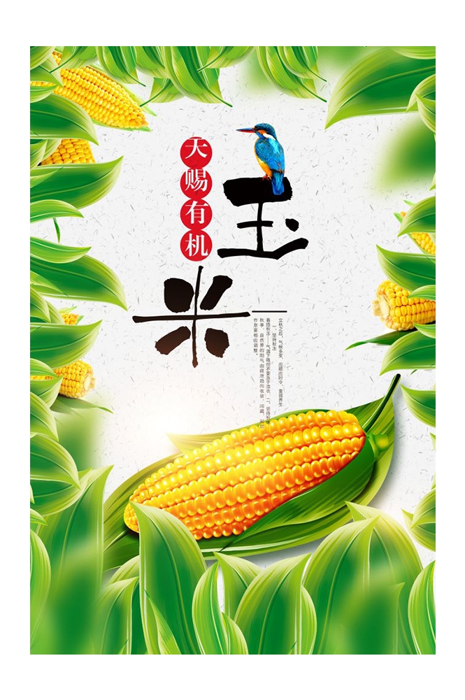 餐饮美食PSD海报背景模板优质玉米食材促销宣传单广告设计素材