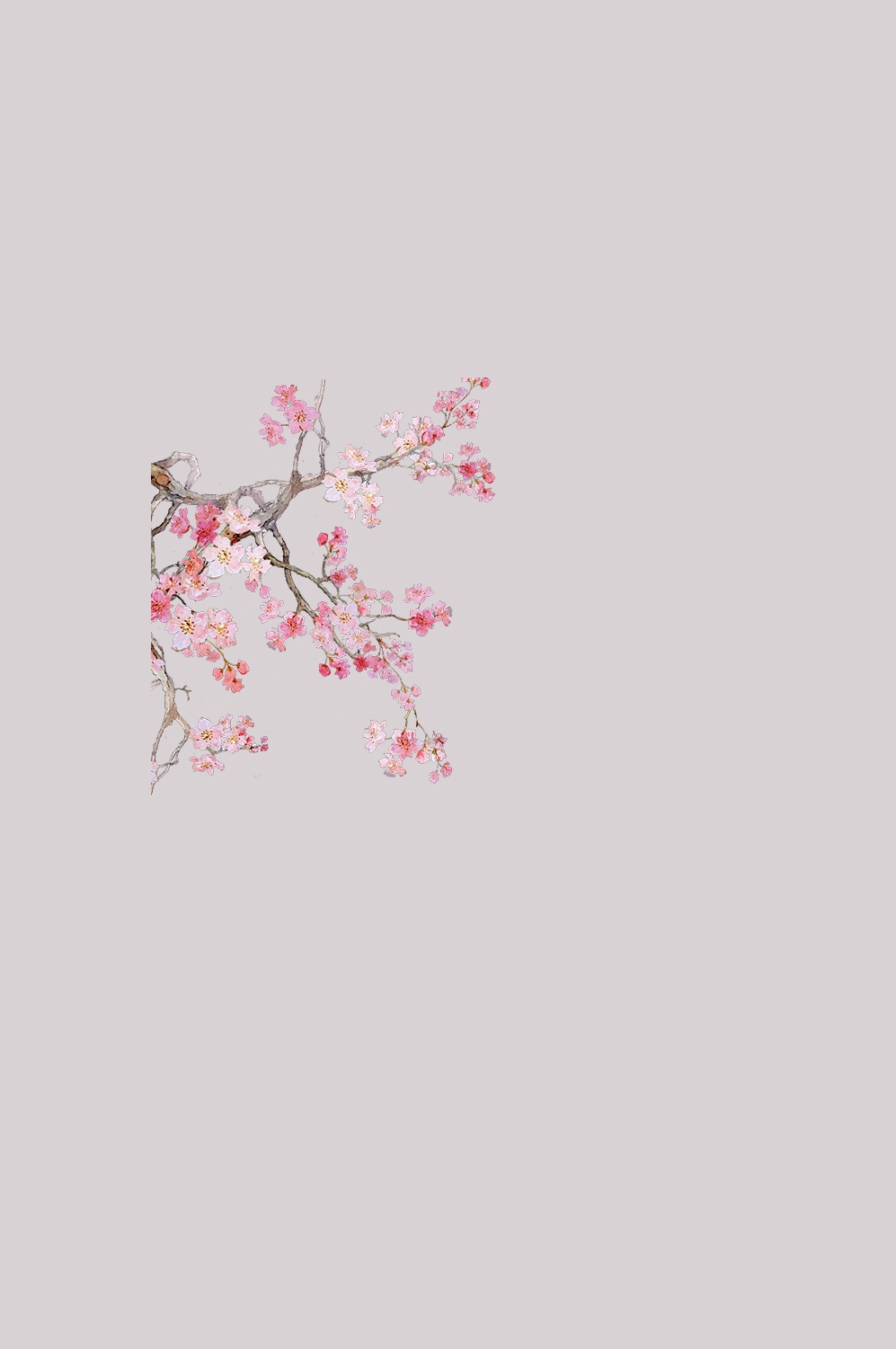 桃花素材图中国风海报设计桃树花枝透明背景47