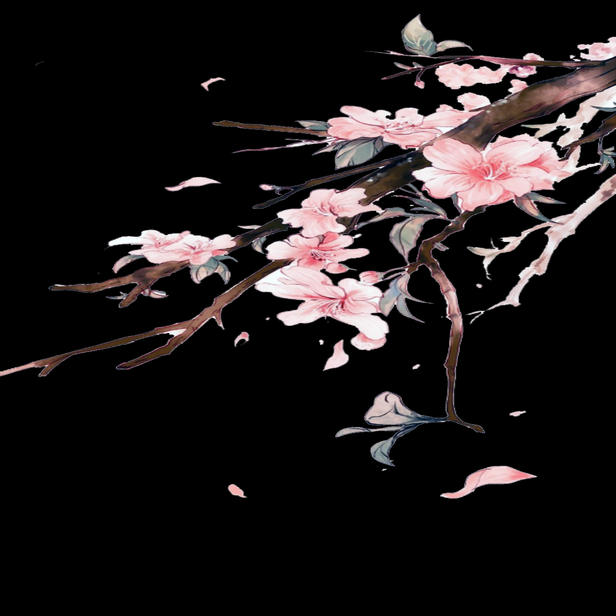 桃花素材图中国风海报设计桃树花枝透明背景13