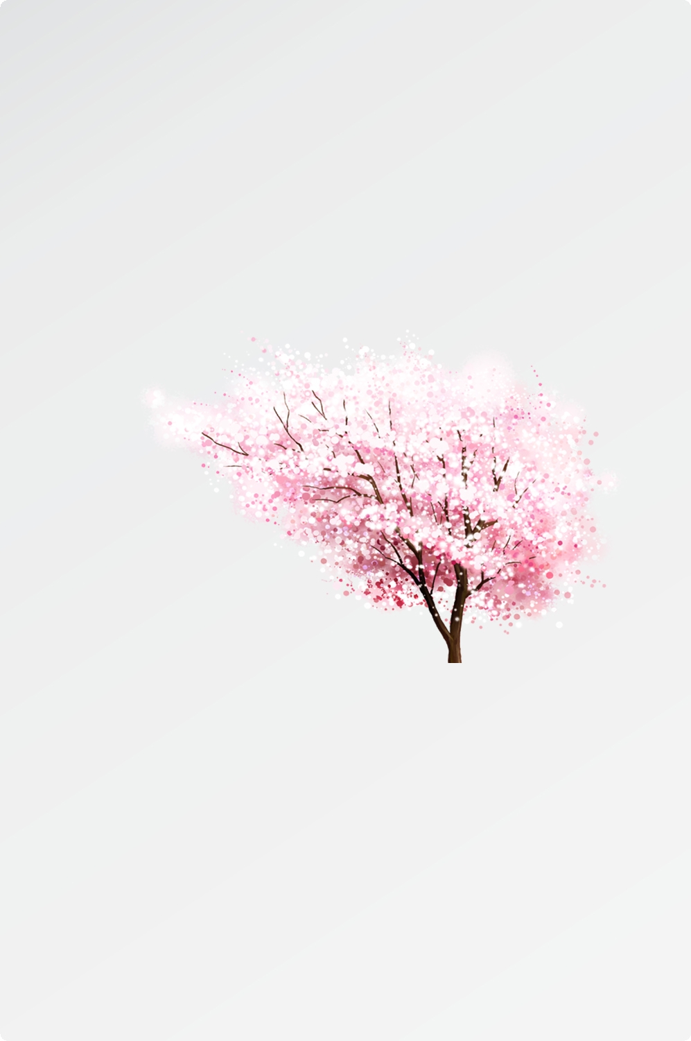 唯美樱花花树花枝樱花飘落图片装饰插图免抠28