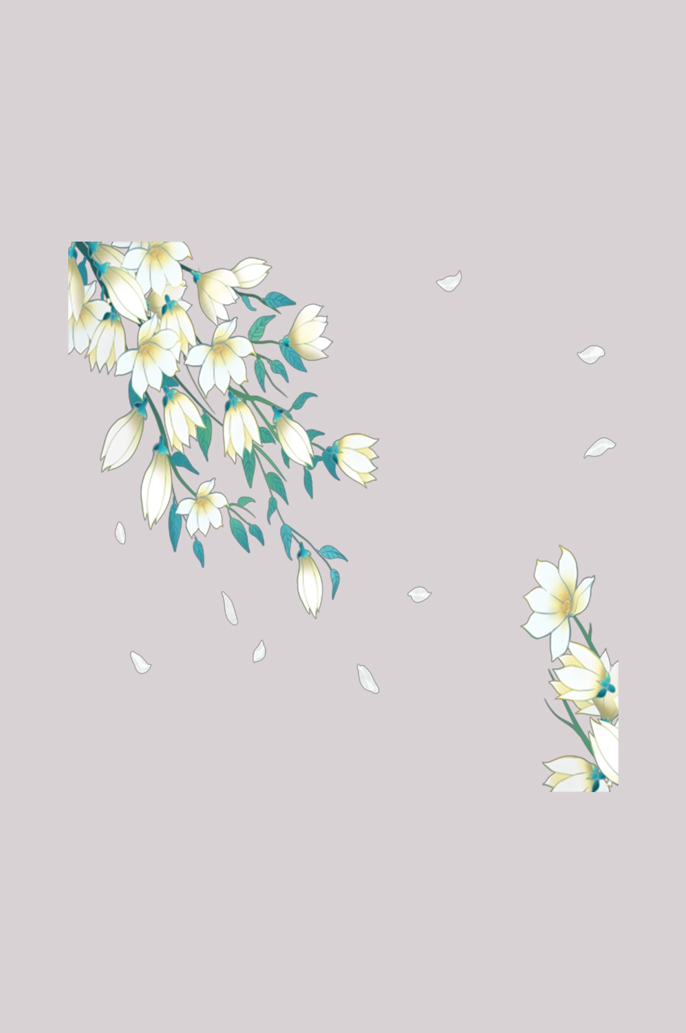 清新淡雅栀子花朵图片素材免抠元素45
