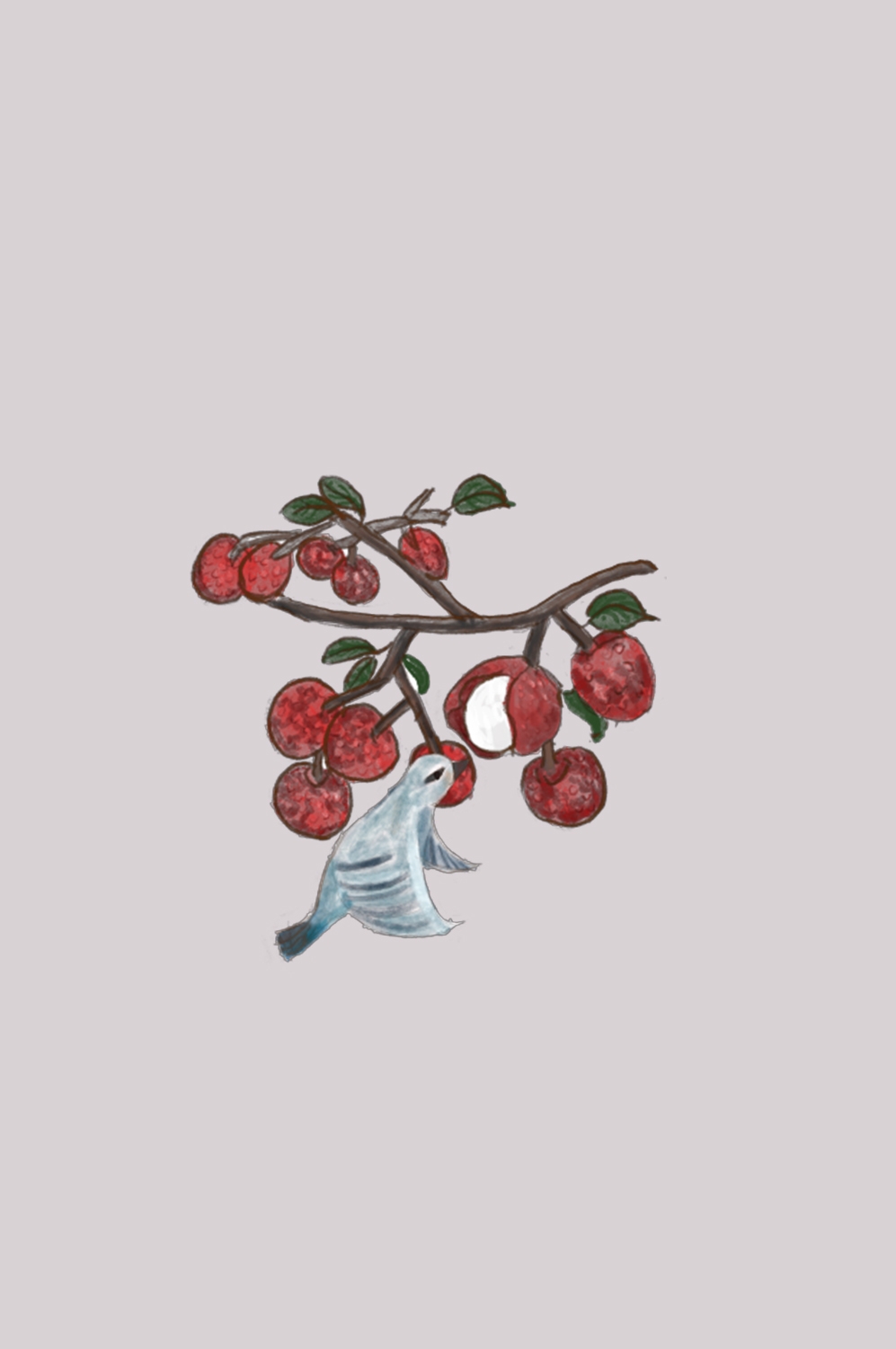 手绘荔枝图片素材装饰元素插画 png透明背景 (62)