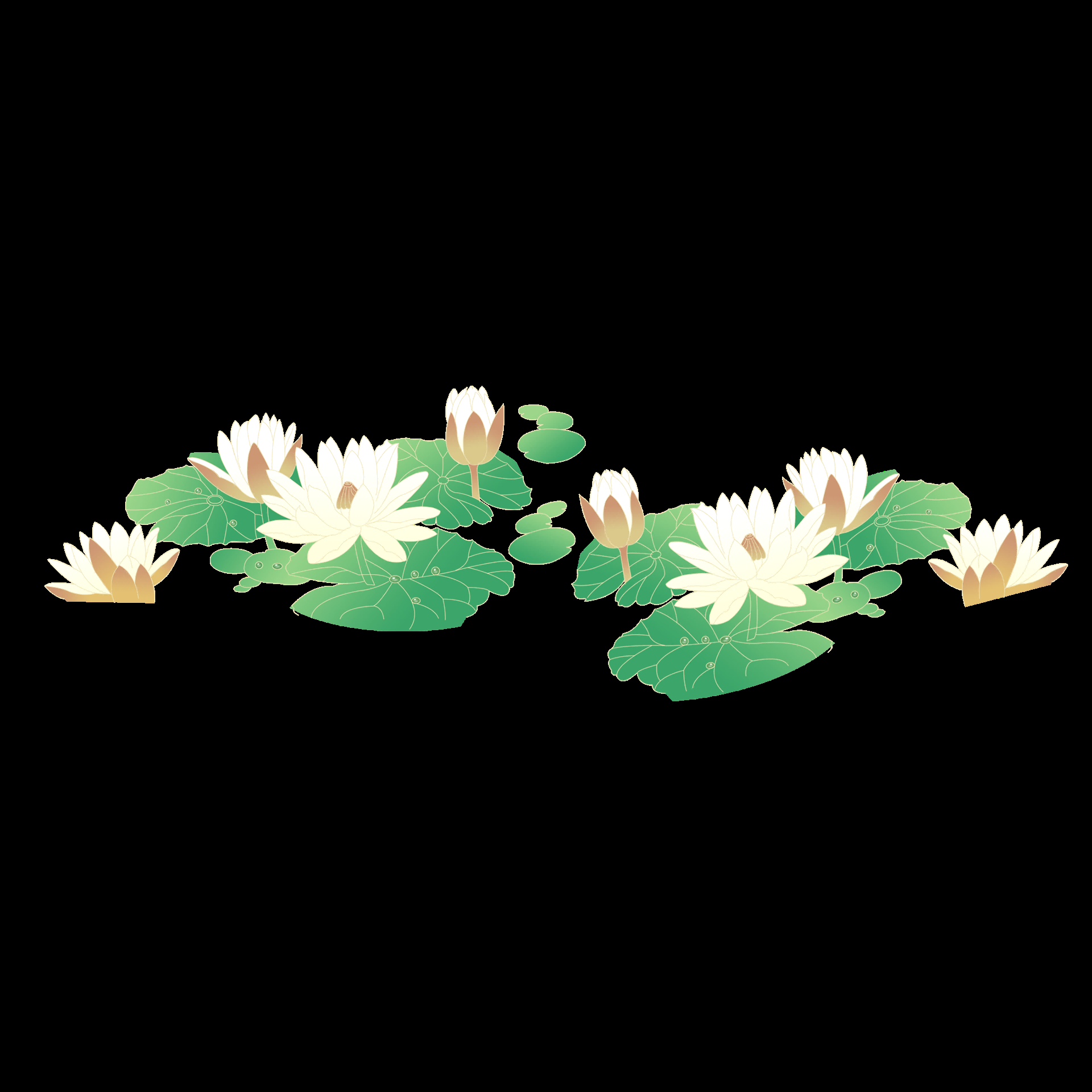 荷叶荷花素材插画装饰元素透明背景免抠素材1