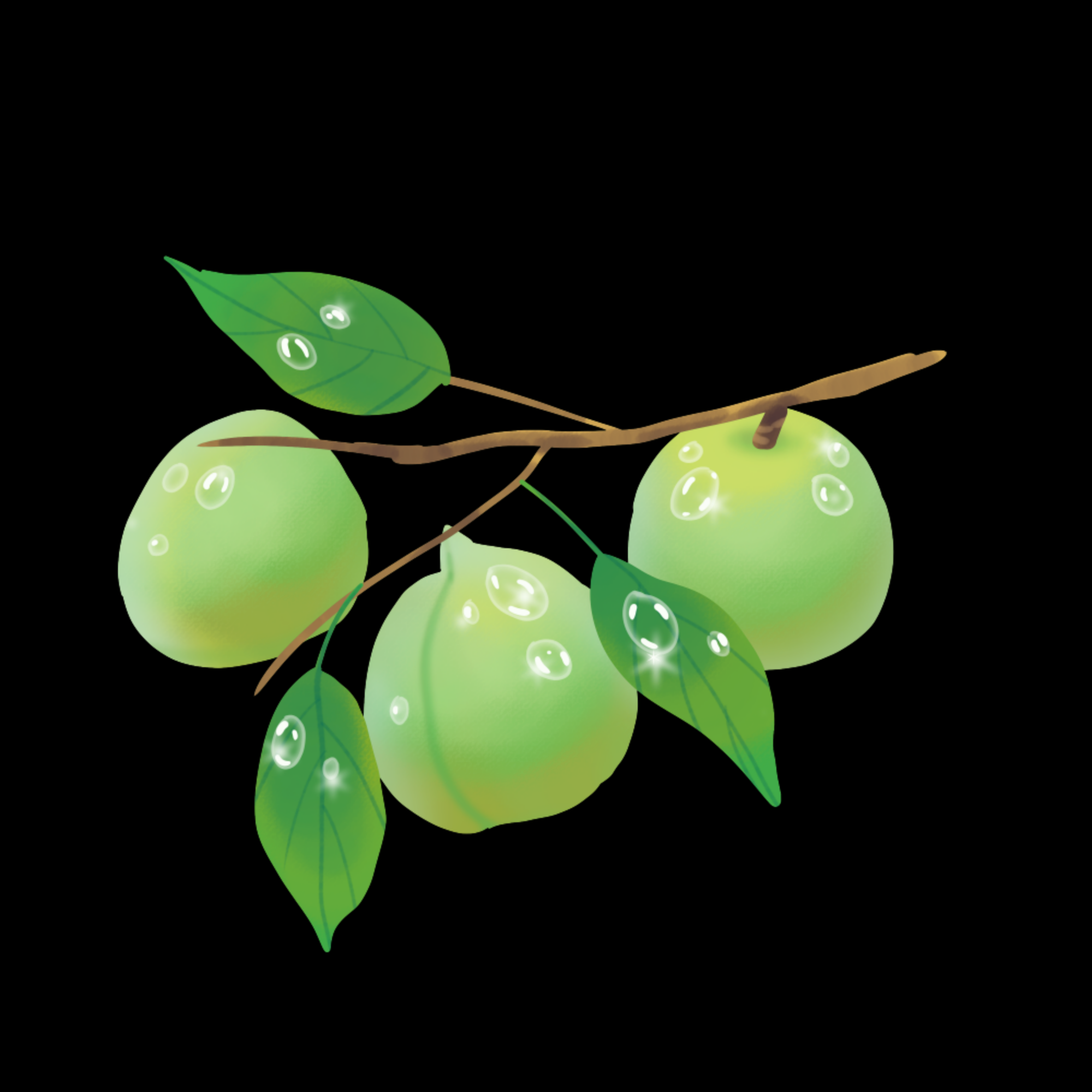 卡通手绘水果青梅图案素材图片装饰插画免抠2