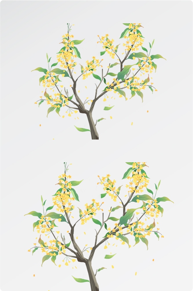 卡通手绘桂花花枝图案素材元素12
