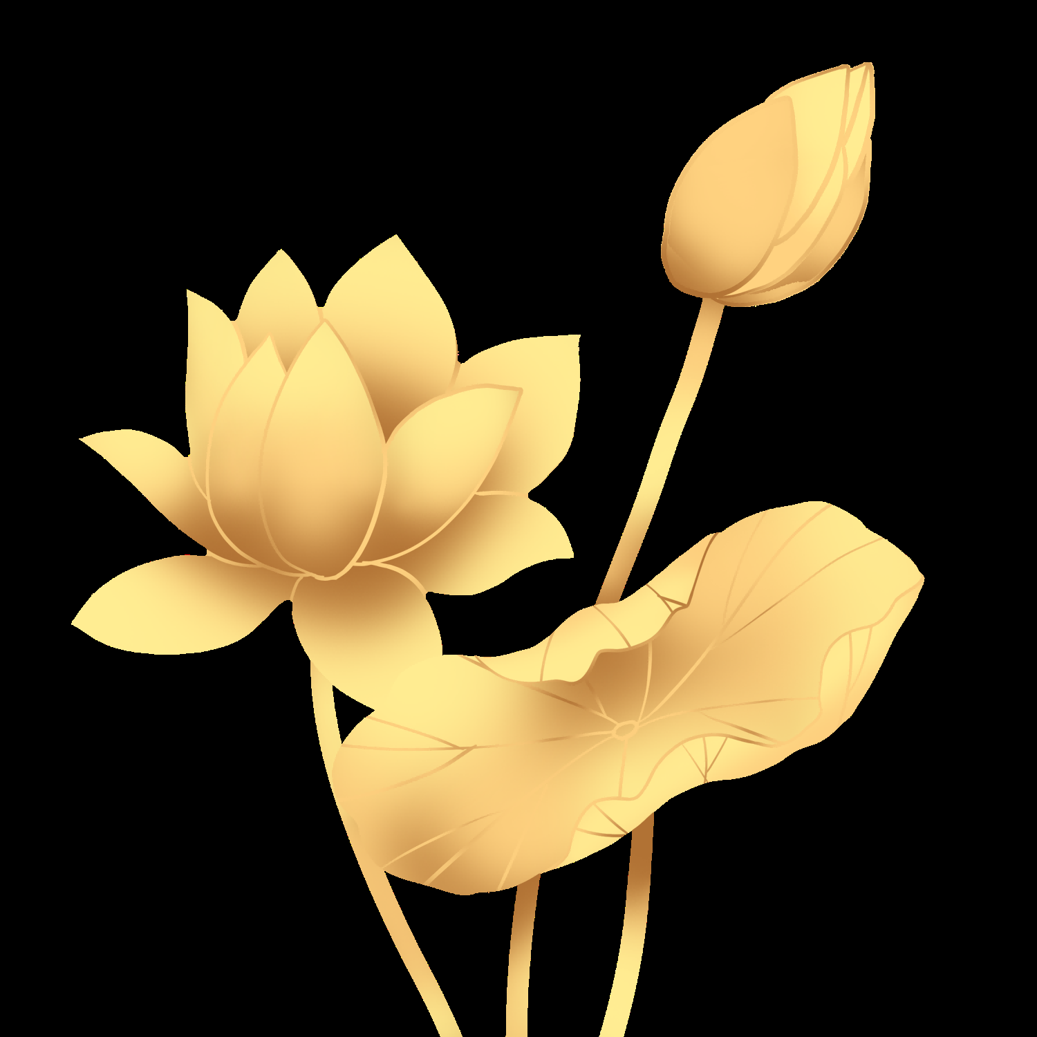 金色莲花装饰元素免抠素材18